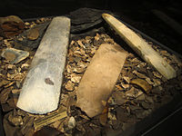 Thin flint axes from Karleby. / Tunnackiga flintyxor från Karleby.