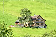 Aus topografischen Gründen wurde der Hof Giessen in Nesslau als Gadenhaus[46] (Stall hinter statt neben dem Wohngebäude)[11] erstellt.