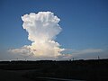 Cumulonimbus capillatus