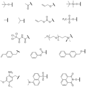 Figure 4. The structures of the different endcaps used in the synthesis of PPA.png