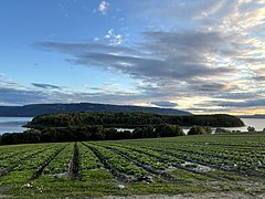 Frognøya i Tyrifjorden sett fra Bønsnesveien, Hole kommune (2).jpg