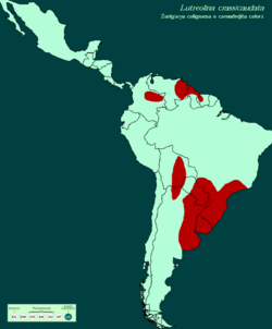 Mapa de distribución del género Lutreolina.