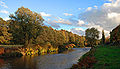 The river Zwickauer Mulde in Zwickau