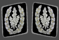党卫队全国领袖領章（1942年至1945年間使用）