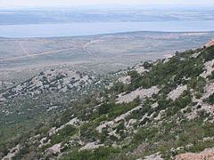 Bura shaped karst landscape at the foot of the Velebit and view at the island of Pag.jpg