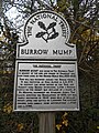 Burrow Mump
