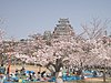 Hanami au pied du château de Himeji