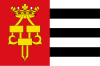 Flag of Drachten