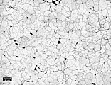 Fig. 1: Thermally etched 99.9% alumina