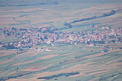 Lažani