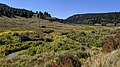 Mill Creek (San Juan River tributary)