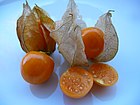 El cáliz de la solanácea (tomates y papas) Physalis es acrescente: se sigue desarrollando durante la formación del fruto, en este caso envolviendo a la parte comestible en una cubierta papirácea.