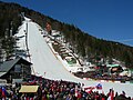 Letalnica bratov Gorišek, Planica