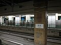 Taipei Main Station (TRA Platform)