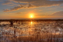 Sinne-ûndergong yn 'e Everglades (jannewaris 2013).