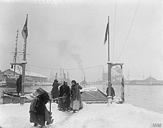 The British Naval Campaign in the Baltic, 1918-1919 Q19351.jpg