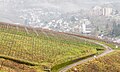 Trier, uitzicht vanaf de Petrisberg op de stad Trier.