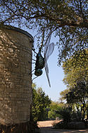 Lady Bird Johnson Wildflower Center