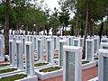 One of the Ottoman Turkish military cemeteries