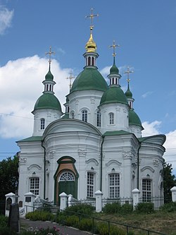 Vasylkiv