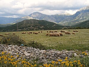 Чорводорӣ. Манзара аз деҳоти Албания