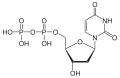 Deutsch: Struktur von Desoxyuridindiphosphat English: Structure of Deoxyuridine diphosphate