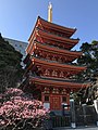 東長寺塔 (2011年、福岡県)