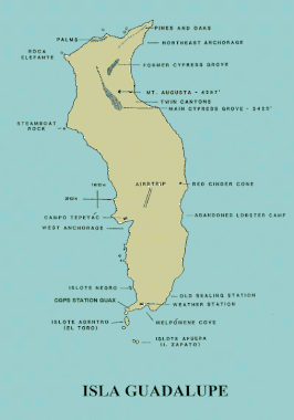 Kaart van Isla Guadalupe