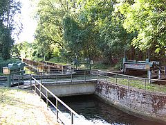 Anfang des Schleißheimer Kanals an der Kreuzung von Schwabinger Bach, Garchinger Mühlbach und dem Abfluss der Kläranlage Großlappen