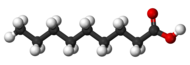 分子模型