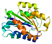 Protein ITGAX PDB 1n3y.png