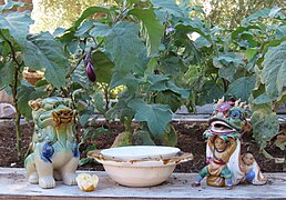 Shrine & eggplant at Mission Garden (Tucson).jpg