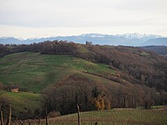 Vue générale sur un paysage vallonné.