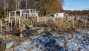 Dalskogens allotments.jpg