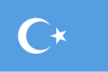 აღმოსავლეთი თურქესტანის დროშა.