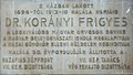 Frigyes Korányi