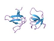 1shf: CRYSTAL STRUCTURE OF THE SH3 DOMAIN IN HUMAN FYN; COMPARISON OF THE THREE-DIMENSIONAL STRUCTURES OF SH3 DOMAINS IN TYROSINE KINASES AND SPECTRIN