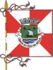 Flag of Peso da Régua