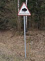 «Attentie! Land van de wisent» op een waarschuwingsbordje in het Oerbos van Białowieża.