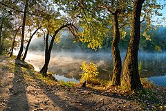 次席 : National park "Sviati Hory" (Holy Mountains), Donetsk Oblast, Ukraine Balkhovitin (License: CC BY-SA 3.0)