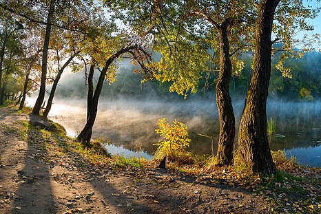 Second place: National park "Sviati Hory" (Holy Mountains), Donetsk Oblast, Ukraine – Attribution: Balkhovitin (License: CC BY-SA 3.0)