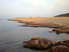 G. Ladushkin, Kaliningradskaya oblast', Russia - panoramio.jpg