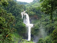 Limunszudan-vízesés, Barangay Rogongon