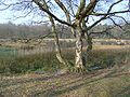 Het Noord Hijkerzand in het Hijkerveld