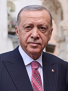 Erdoğan v roku 2022