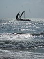 Sailboats near Brown Beach Hotel, Negombo, Sri Lanka