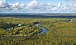 La taiga nel bacino del Vasjugan, Siberia occidentale