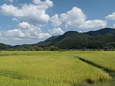 Arroz alorrak, Ipar Jeolla