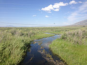 The Humboldt River near Deeth