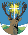 Wappen von Kalwang